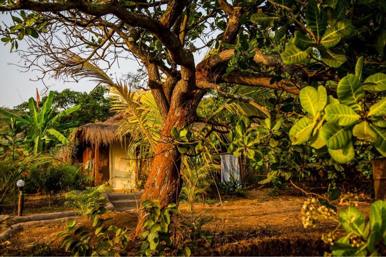 Hotel Banyan Tree Yoga Mandrem Zewnętrze zdjęcie